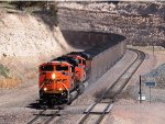 BNSF 8765